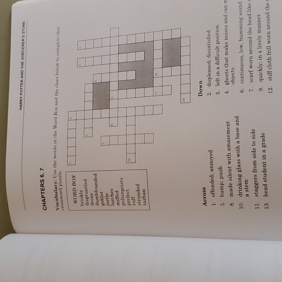 Harry Potter and the Sorcerers Stone Novel-Ties Study Guide - Paperback - Picture 11 of 12